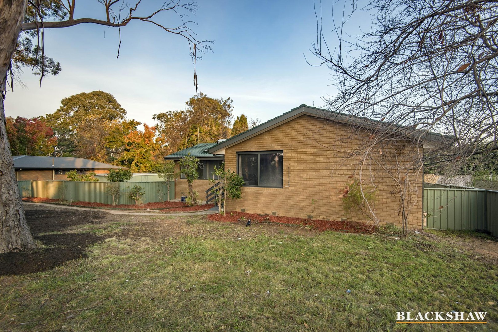 Images Blackshaw Real Estate Woden
