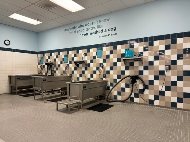 Images Petco Grooming