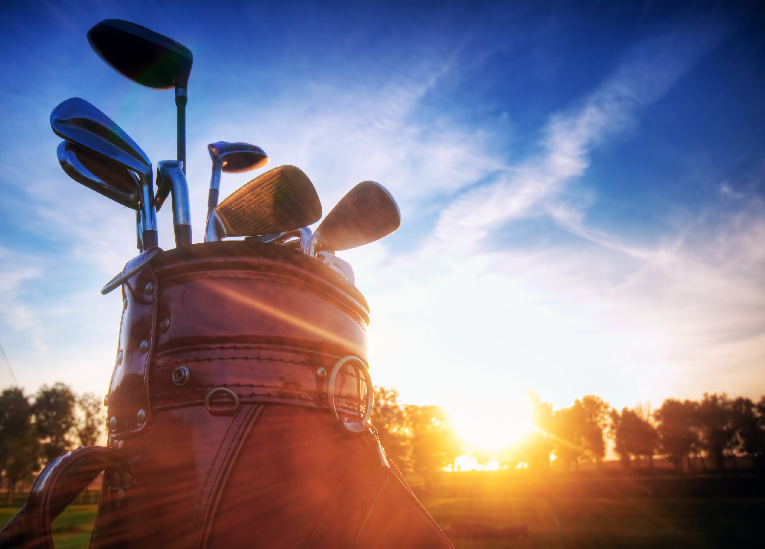Franca Fehlauer Golf Mental-Training in Hamburg - Logo