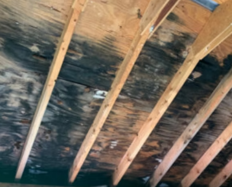 Complete Attic Insulation Inc.