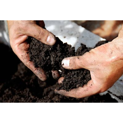Images Agri 2000