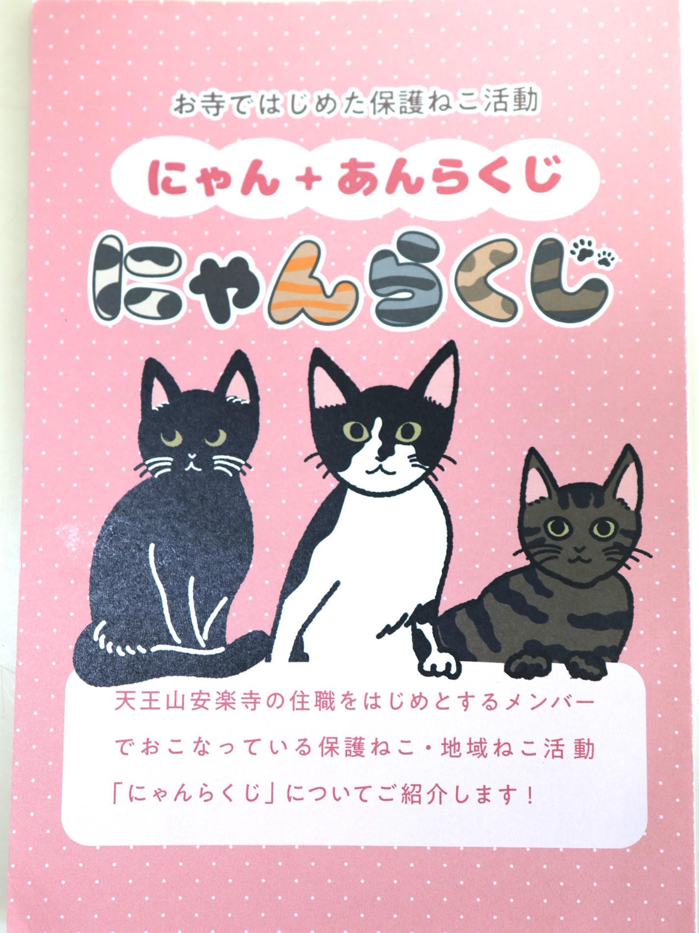 Images 松崎動物病院