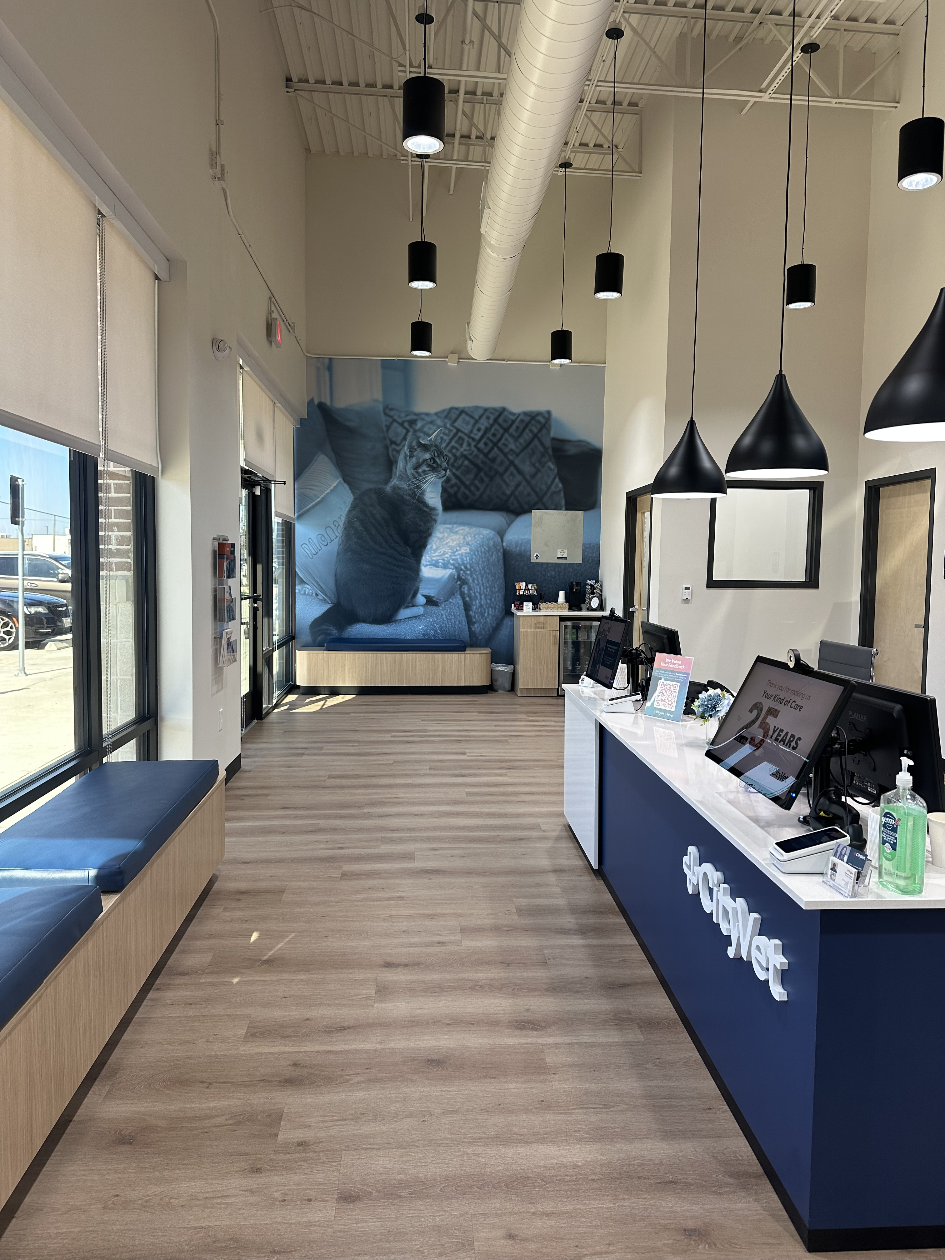 CityVet | Spring Image