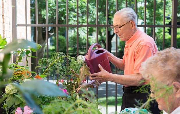 Images Willows of Ramsey Hill