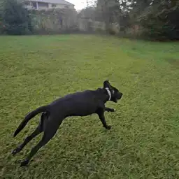 Sniffspot Yolistone Image