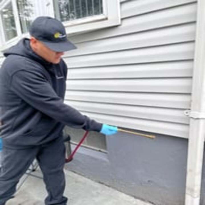 Images JKR Pest Solutions