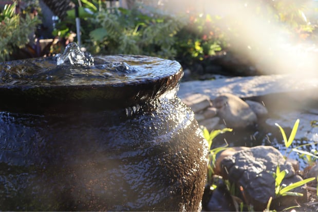 Images Terra Nova Nursery & Gardens