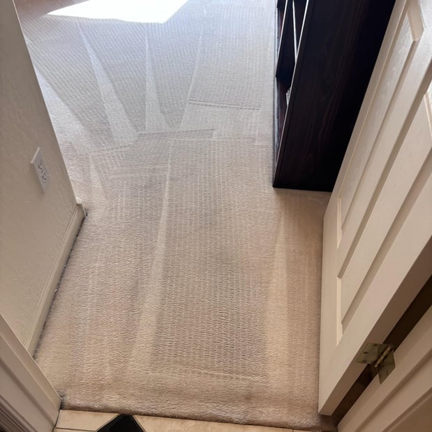 Images Renew Cleaning Services
