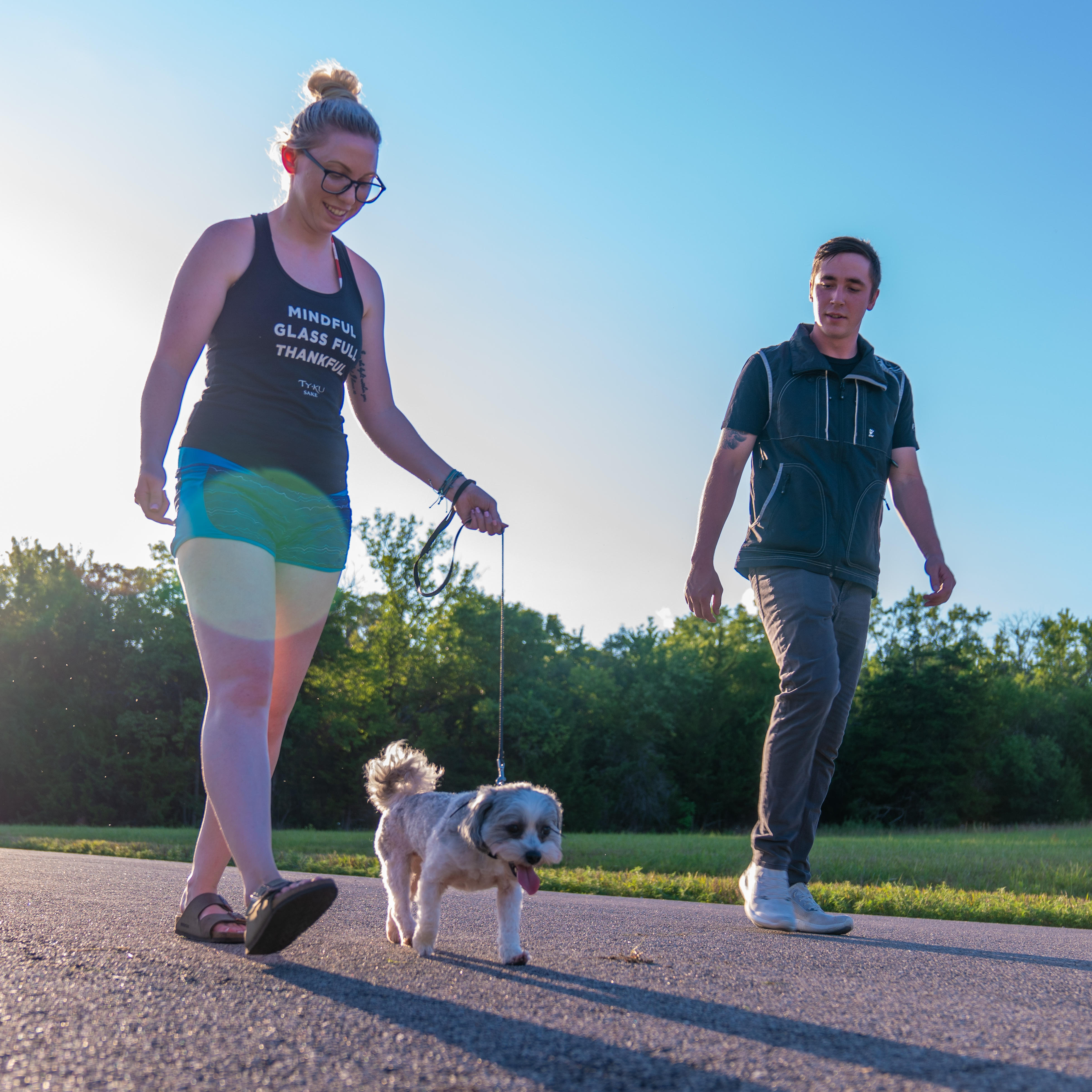 loose leash walking dog training lesson