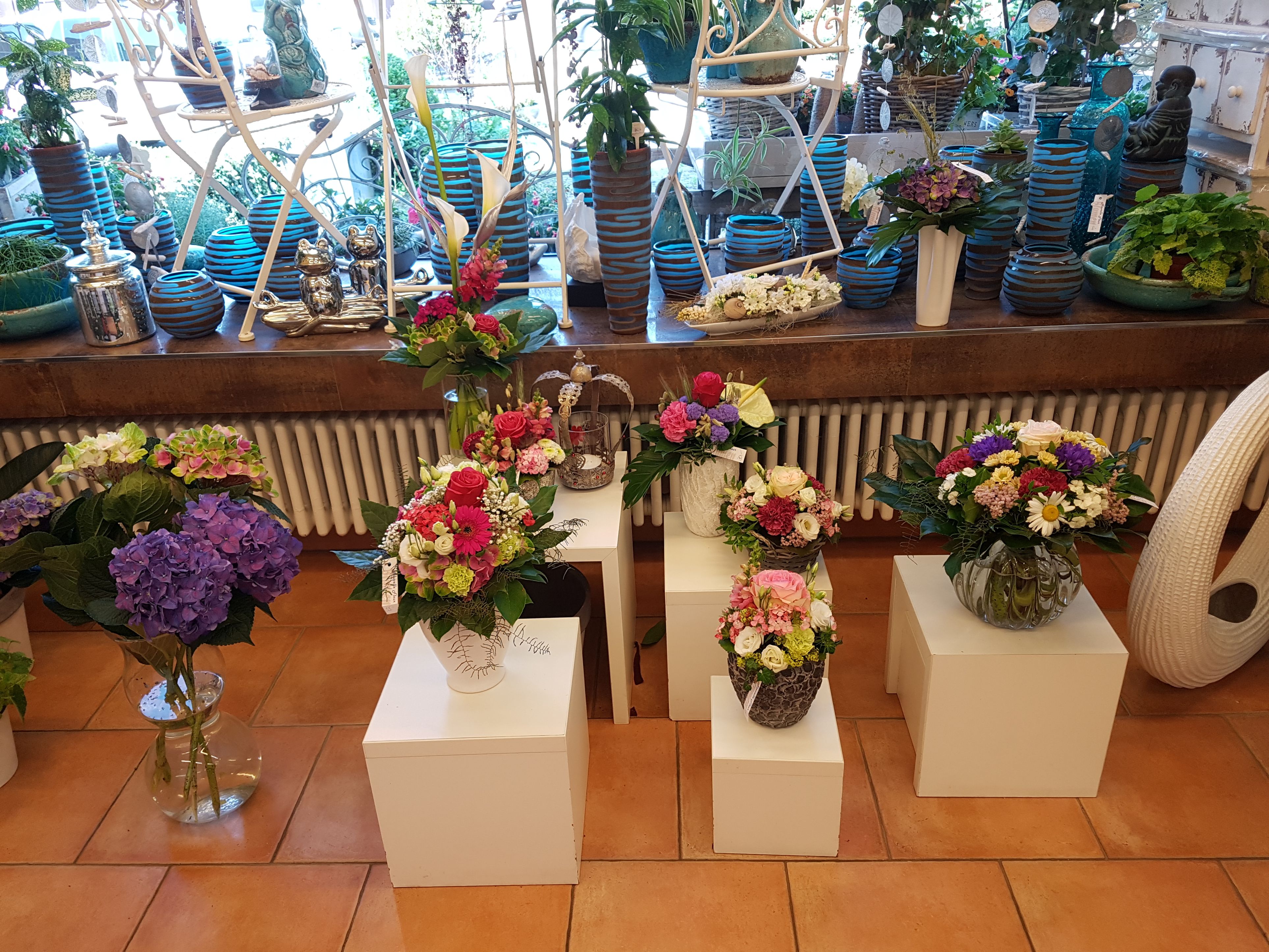 Bilder Blumen Nouvelle Fleur