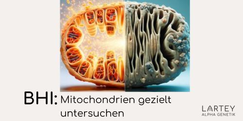 Annette Lartey Heilpraktikerin, Kaiser-Friedrich-Str. 6 in Wiesbaden