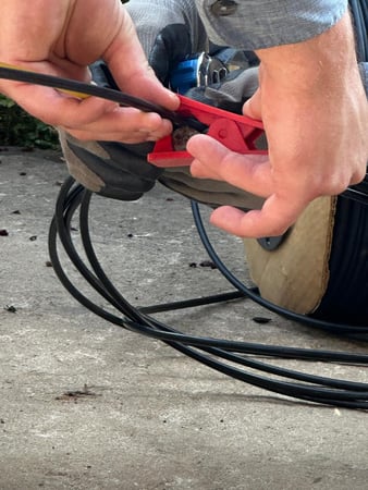 Images Home Run Pest & Termite Control