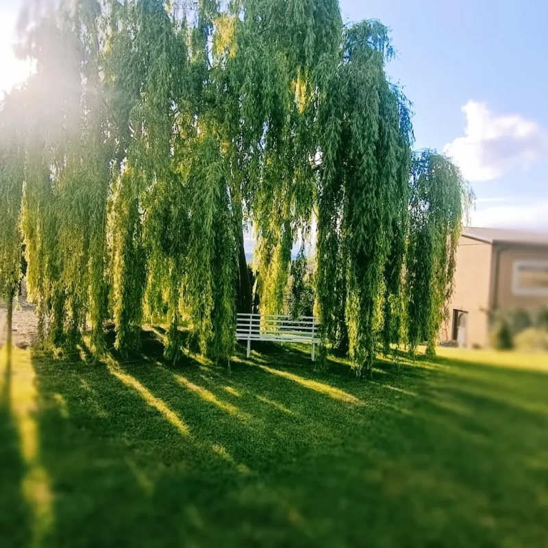 Images Oltre Il Giardino Location