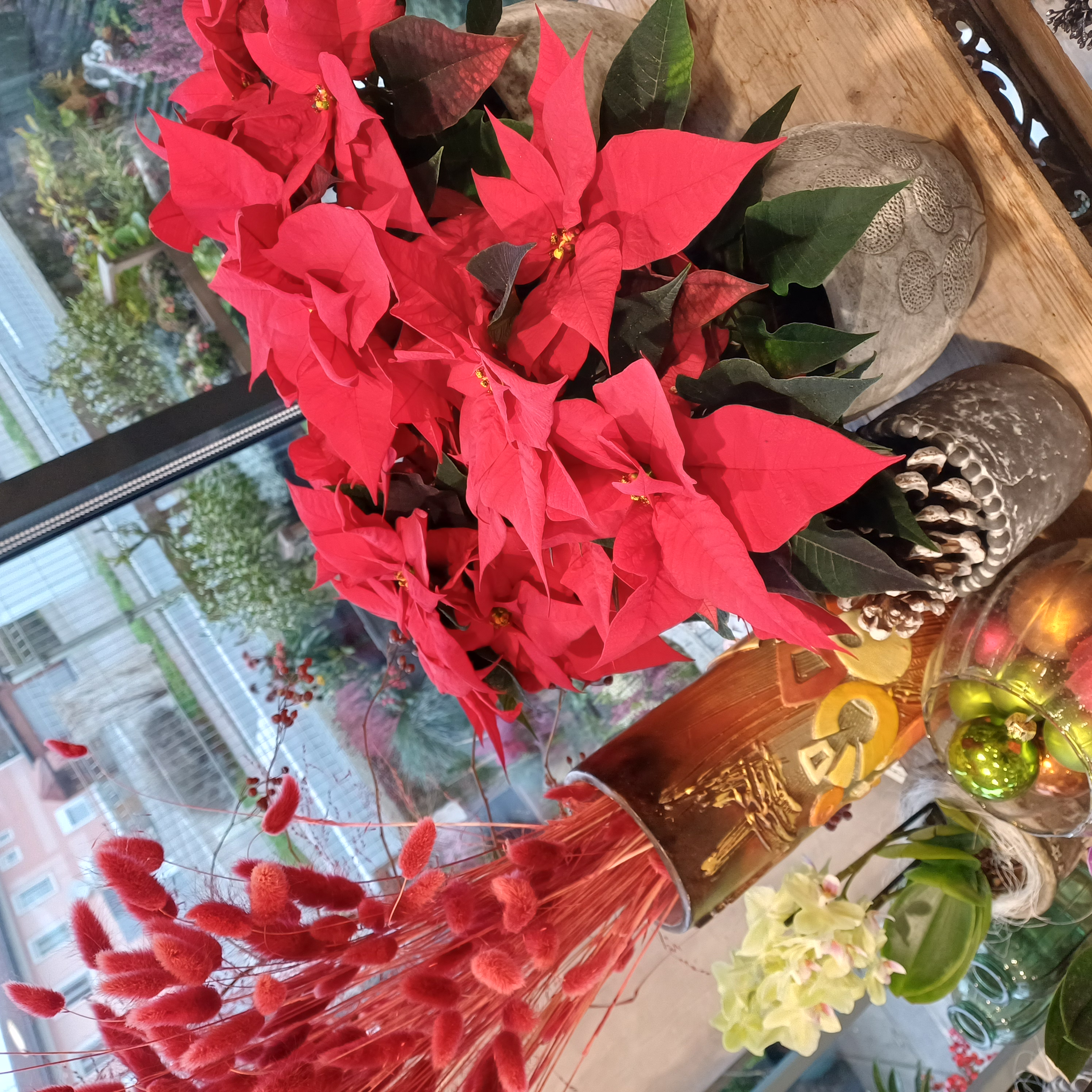 Bild 3 von blumenstudio