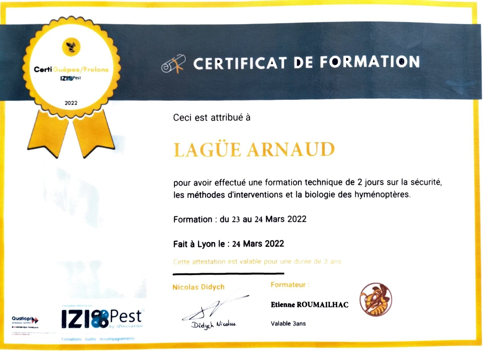 Images CLG Nuisibles-Guêpes-Frelons