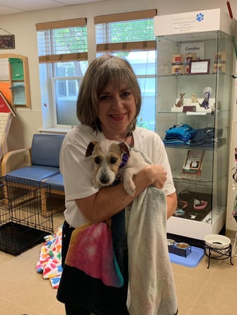 Images Wags & Whiskers Pet Sitting