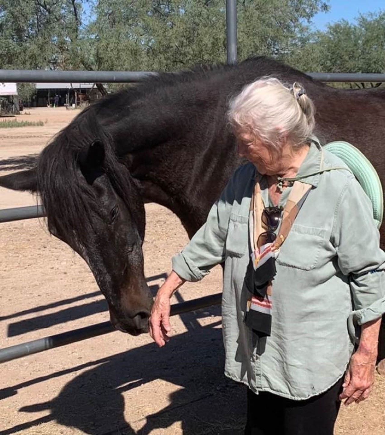EAHAE International Association for Horse Assisted Education in Schkölen