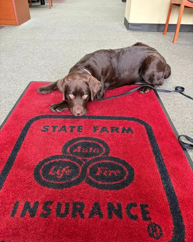 Images Greg Ochipa - State Farm Insurance Agent