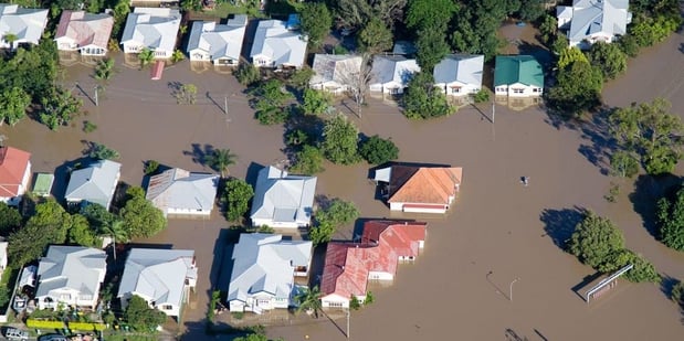 Images Tradewinds Insurance