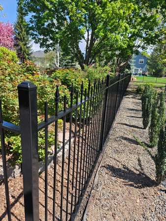 Images Signature Painting