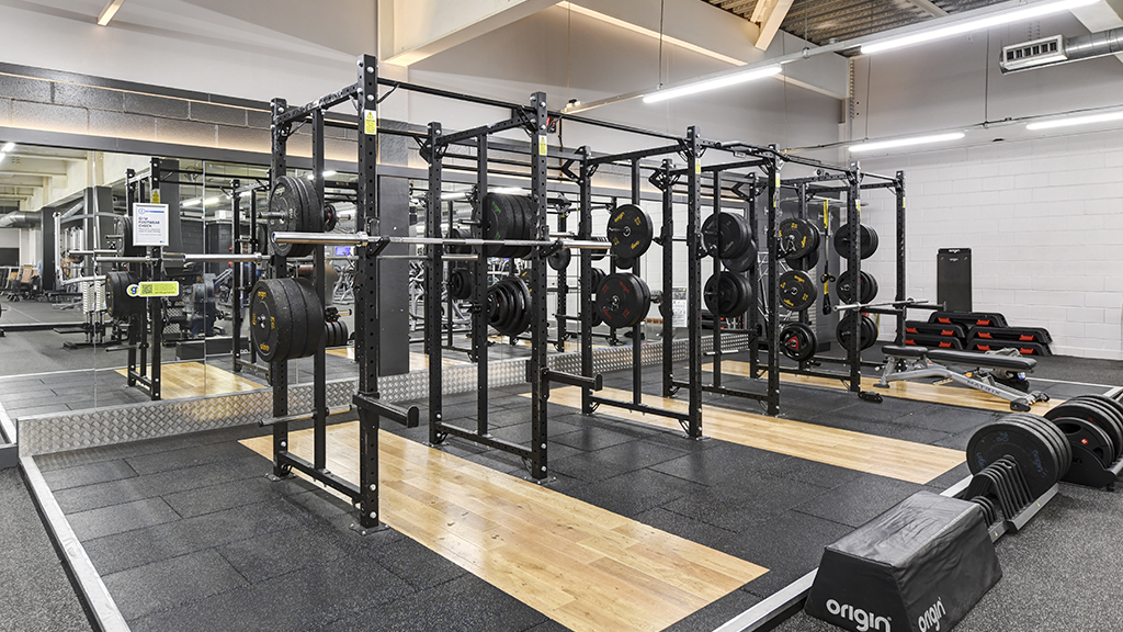Free Weights Area