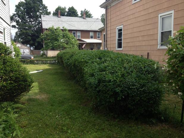 Images A Cut Above Landscaping