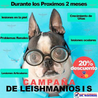 Images Clínica Veterinaria Doctor Waksman