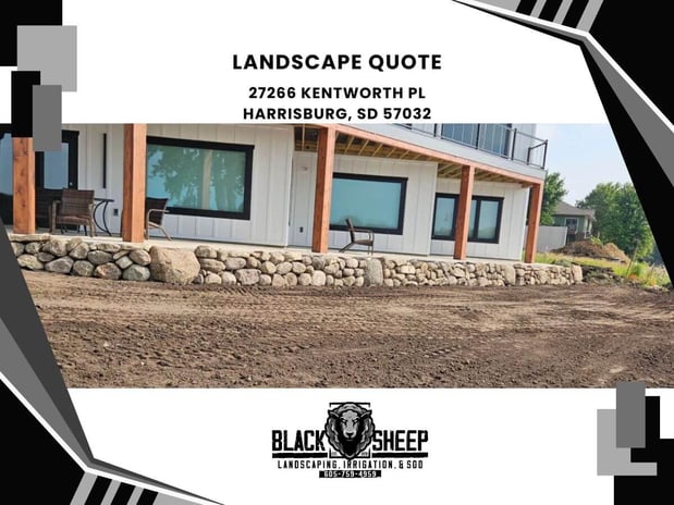 Images Black Sheep Landscape