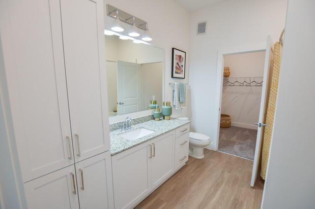 Images The Ivy at Ariston