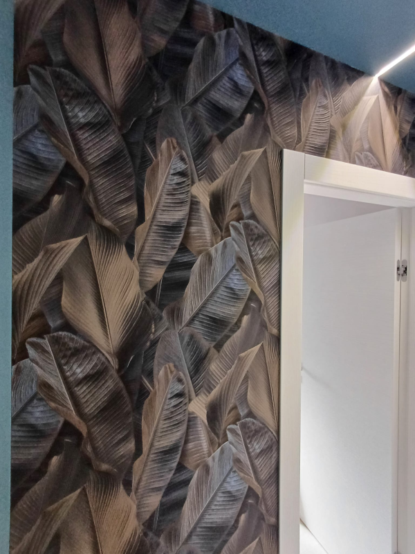 Images lops coporation