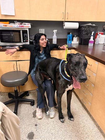 Images VCA All Pet Animal Hospital/Taylorsville