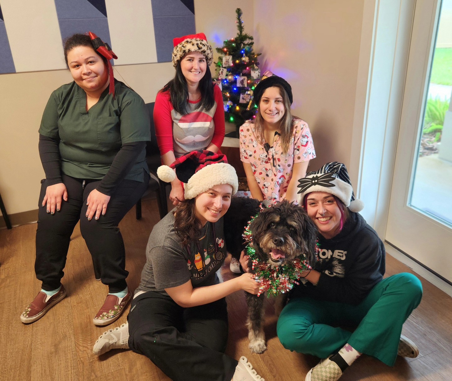 Gregory Veterinary Clinic – Holiday Celebration with Staff & Pets