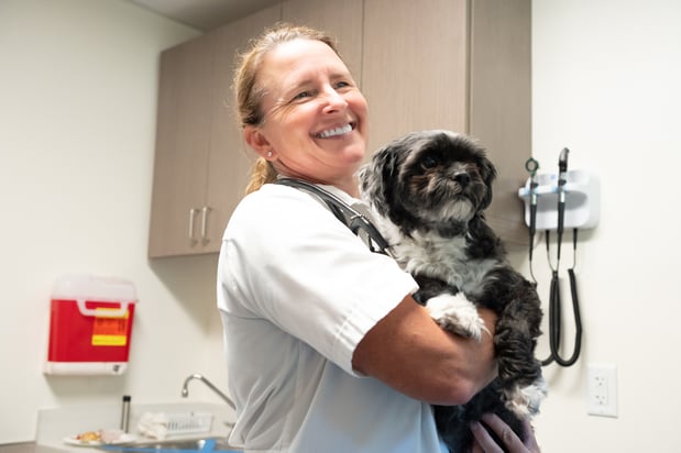 Images VCA Veterinary Hospital of Leon Springs