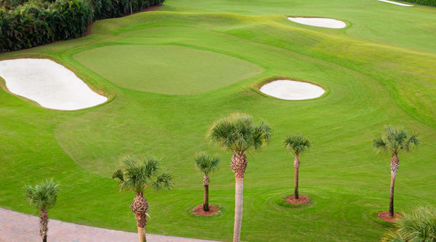 Images The Seagate Golf Club