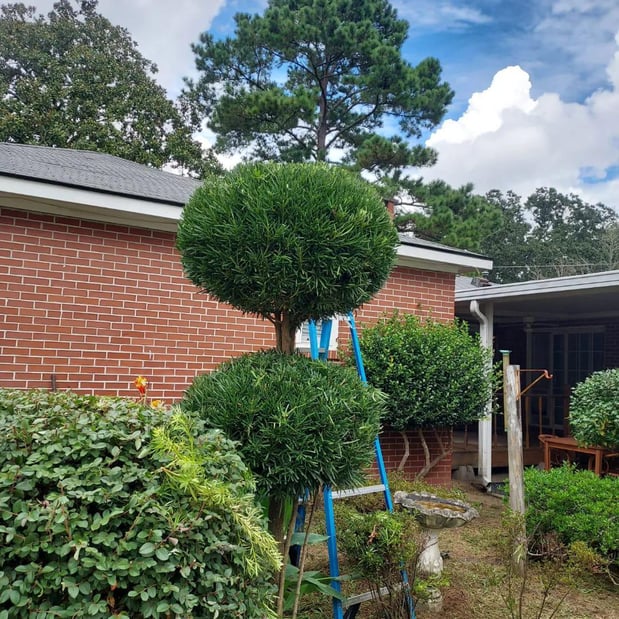 Images HP Irrigation & Landscaping LLC