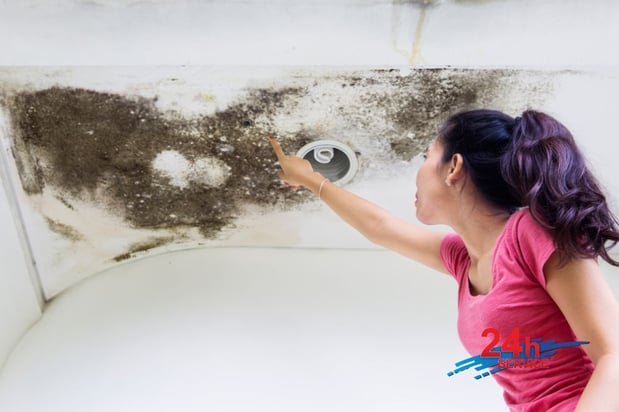 Images First Response Restoration, Water Damage Minneapolis Specialist