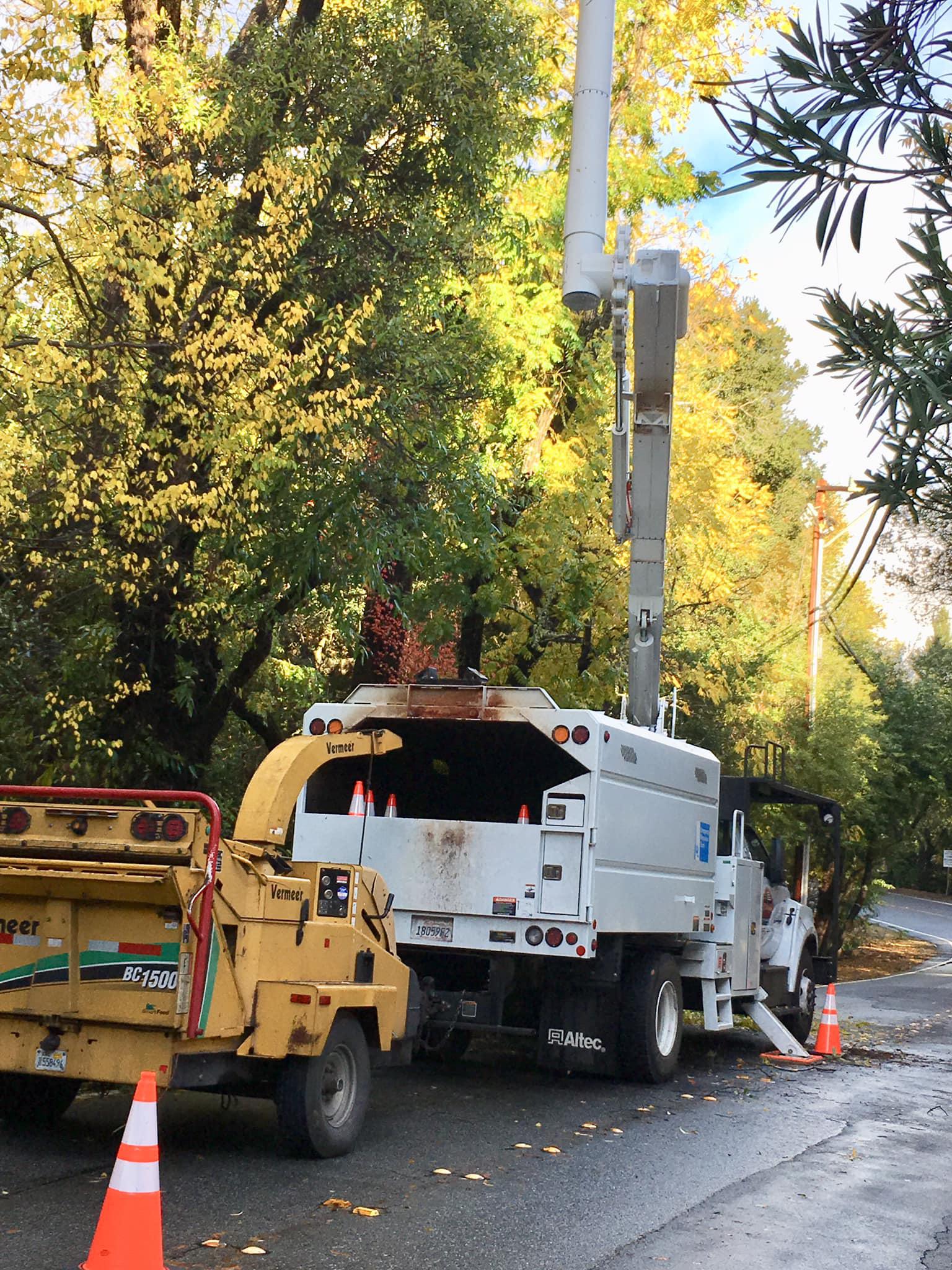 AAA Tree Service Photo