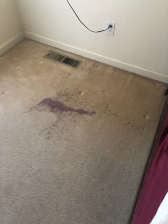 Images Carpet Pro Carpet Cleaning & Dyeing