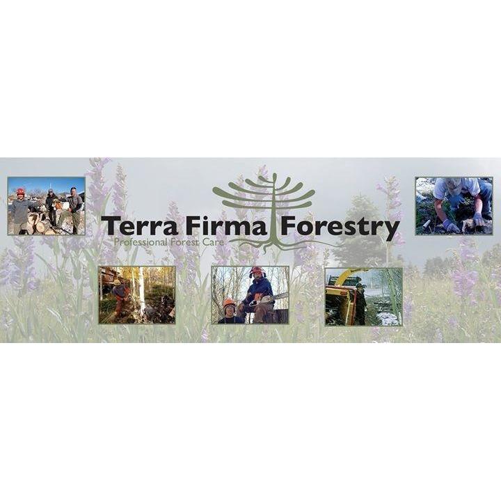 Terra Firma Forestry