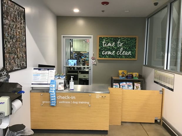 Images Petco Grooming