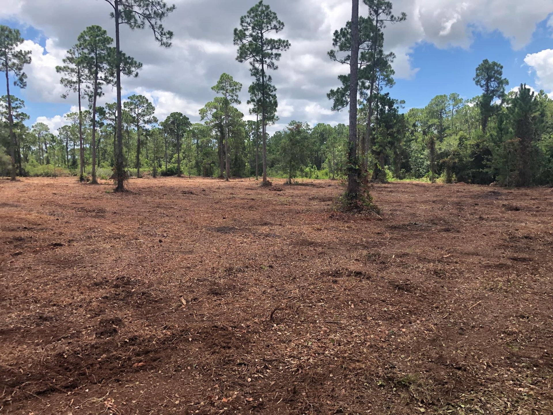 Albritton Land Clearing