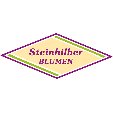 Logo Blumen Steinhilber Weiden
