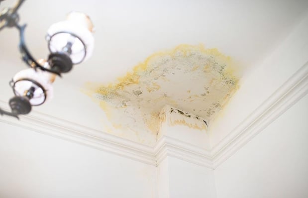 Images Public Adjuster Miami - Alconero and Associates