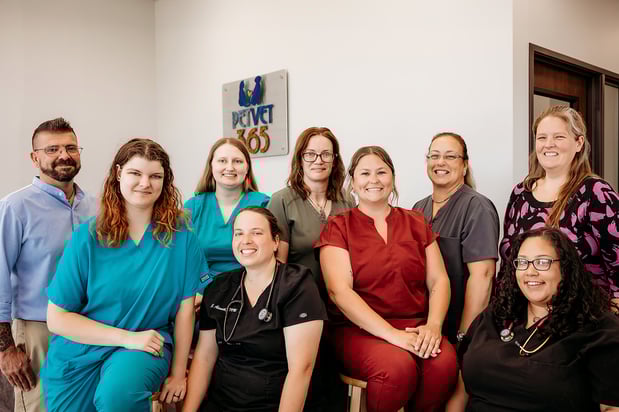 Images PetVet365 Pet Hospital Indianapolis / Eagle Creek
