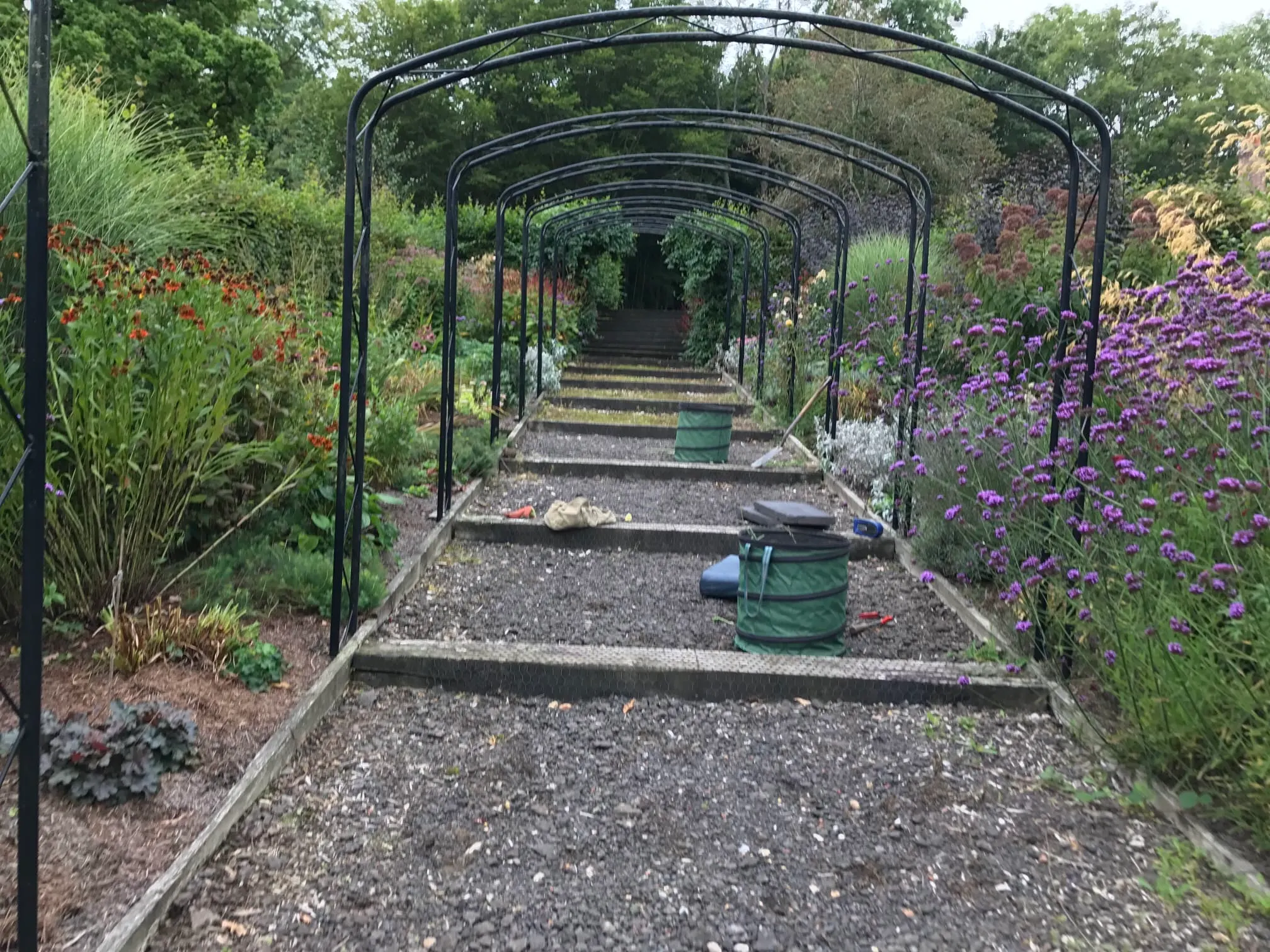 Images Prostyle Gardening & Home Services