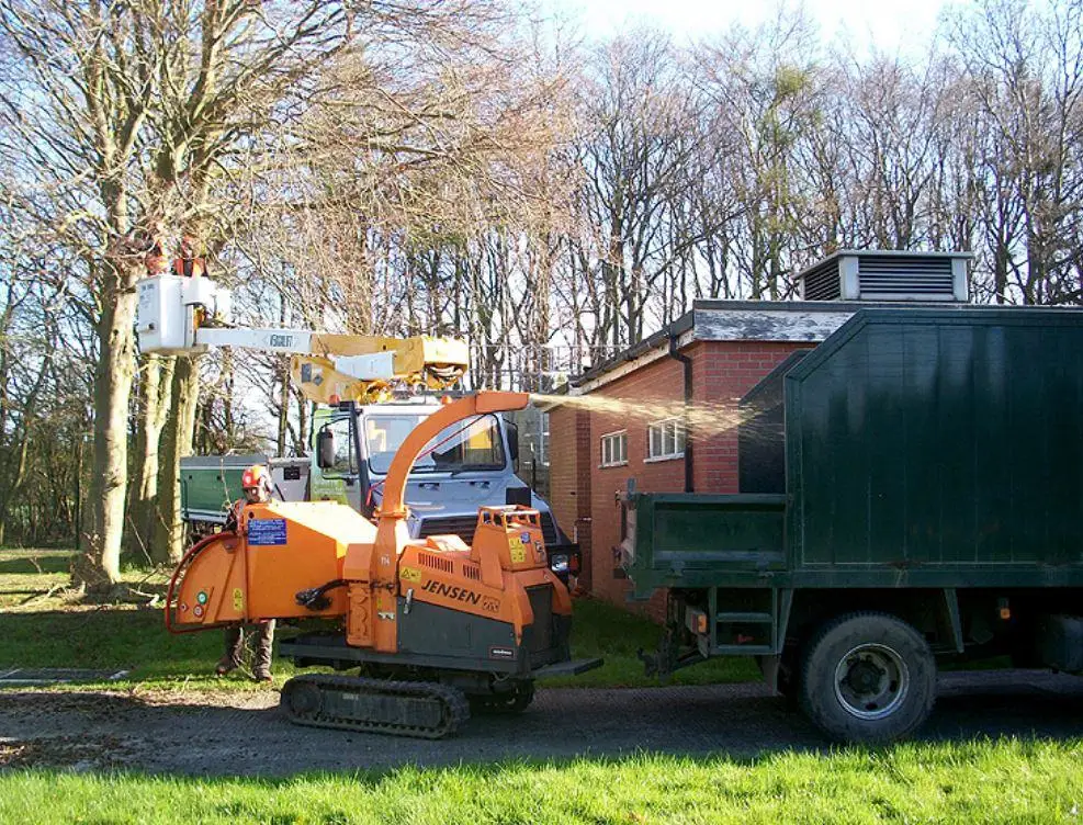 Images Yorkshire Tree Contractors