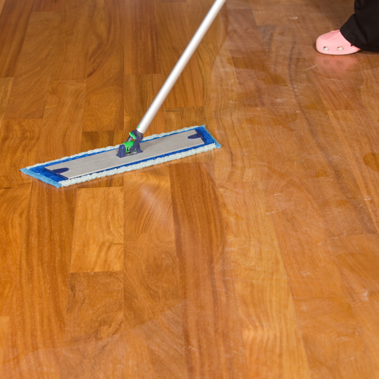 Haushaltsreinigung Bartenbach, Sanddornweg 12 in Köln