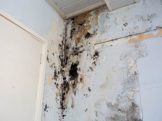 Images Voda Cleaning & Restoration