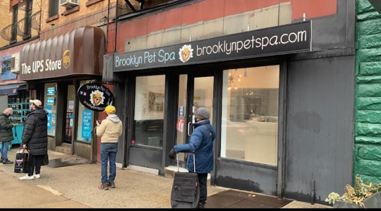 🥇 Brooklyn Pet Spa - Dog Grooming Near Me, Bathing, Boarding, Cat & Gog Grooming Rates | Zip 11215