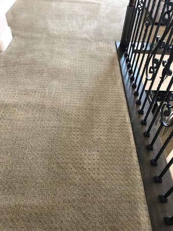 Images Carpet Pro Carpet Cleaning & Dyeing